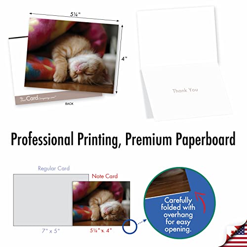 Image of The Best Card Company 10 Assorted Thank You Notecards Bulk Box Set 4 x 5.12 Inch with Envelopes (10 Designs, 1 Each) Cat You See Me Now? M1543TY