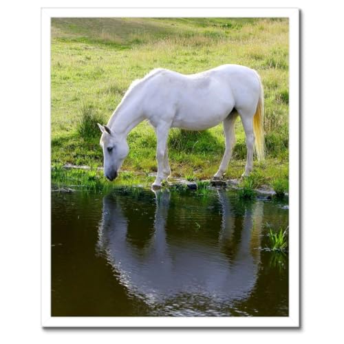 Cheval blanc poster encadré noir pour salon ou bureau moderne 40x50 cm