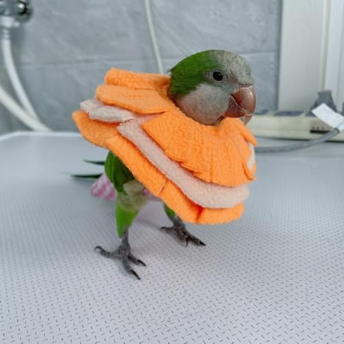 Image of RRRIOT Adjustable Parrot Cone Collar, Safe and Practical Cotton Collar to Prevent Bites and Licking Wounds, to Help heal (2M)