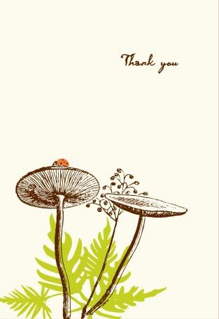 Lark Press Mushroom with Ladybug Thank You Card, 3.5 X 4.75, Boxed Set of 6