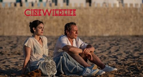 Cine Wildlife: Il peso del silenzio &ndash; Le cose non dette di Muccino