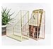 KAJHSTLOZ Iron Grid File Holder Simple Single Layer Desk Shelf Magazine Book Storage Rack Home Office Stationery Organizer(Golden)