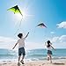 Mint's Colorful Life 3 Pack Delta Kites for Kids & Adults, Easy to Fly Large Kite Set for Beginners, Perfect Family Kites for Park and Beach Trip with 300ft String Included (Green&Blue&Rainbow)