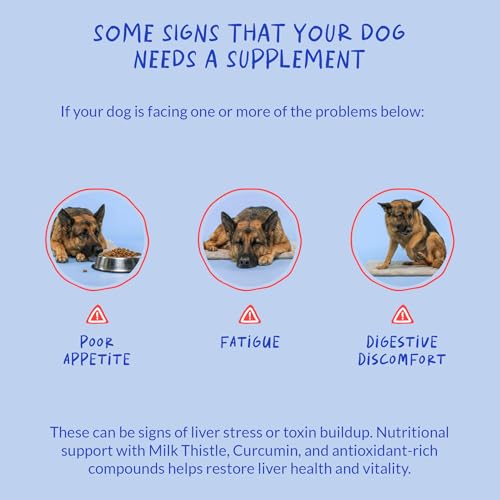 Image of Milk Thistle for Dogs 90 Soft Chews - Liver, Kidney Detox & Hepatic