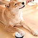 Trainingsglocken für Haustiere,2 PCS Hund Trainingsglocken Haustier-Trainingsglocken für Hundekatzen Türglocken für Hunde Pet klingel für Katzen und Hund Potty Training