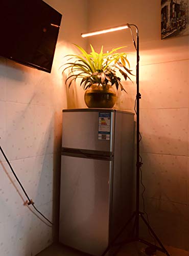 Floor Lamp Grow Light, 28W LED Floor Stand Growing Light with Flexible Gooseneck, White and Red Light Spectrum for Indoor Plants, Seedling, Hydroponic, Basement Plants to Survive Cold Days - Thumbnail 4