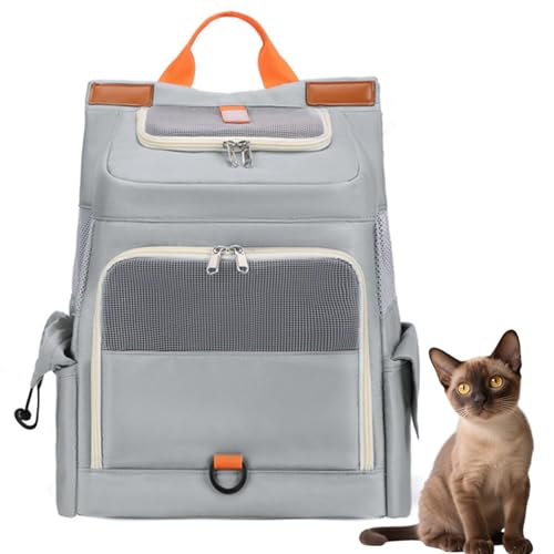 Lifetipso[~[Y Burmese ybgbN L[ ʋCbV J[et y ˃e[v яoh~ h  @\ bN^ybgL[ ^ ^ L s ʉ@ ] d [|Pbgt ܂肽 g