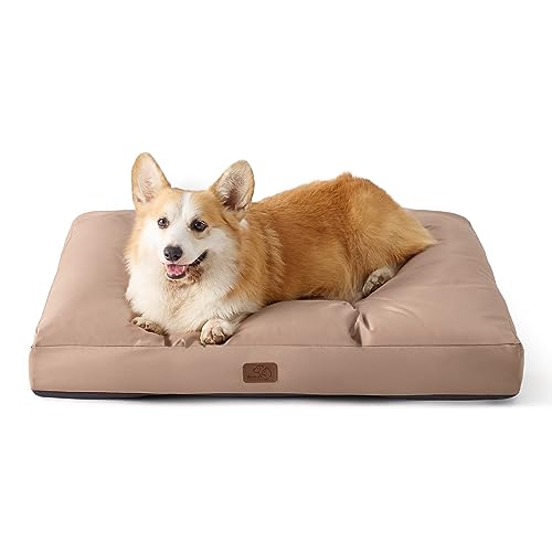 BEDSURE Hundekissen kleine Hunde waschbar - 76x50cm Hundebett wasserdicht M für kleine, mittelgroße Hunde gepolstert Hundematte Warmes Taupe in 10cm Höhe