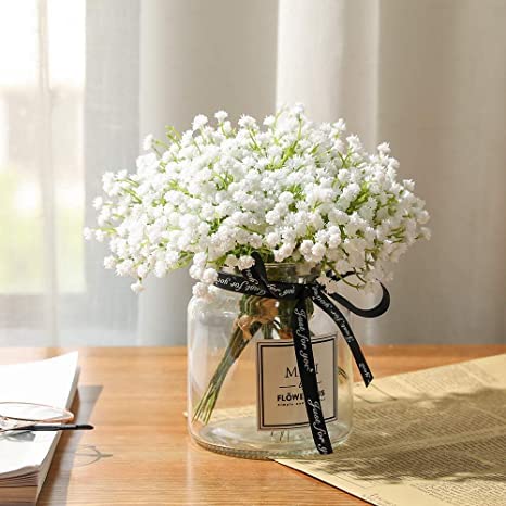 Audbhidhi Flower Seeds | Gypsophila Flower Seeds hybridFor Home Gardening (50 SEEDS ) PACK OF 2 PACKET (B09LSCL6NM) Amazon Price History, Amazon Price Tracker