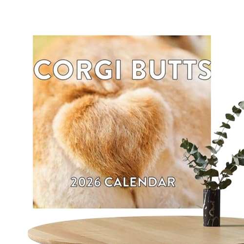  Ǌ|J_[,̂K 2026  ߂vi[ | wKEwZEItBXp킢fR[VfC[vi[ | zf[ NX}X a XPW[O \Ǘ A|Cgg