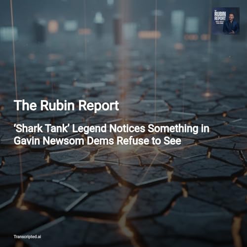 The Rubin Report: Why Competence, Borders, and Privacy Matter &mdash; 5-Minute Summary