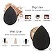 Foonbe Makeup Sponge, Latex Free and Vegan Beauty Sponge Blender for Powder, Cream or Liquid Application (1 Pc, Black)