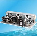 R22 Brennwertgerät; Kältemittel: R22, Spannungsversorgung: 220 V/50 Hz; Kühlung; Fassungsvermögen: 2 HP; Verpackung: von Holz Box