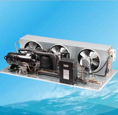 RIMOAL R22 condensing Unit Capacity 2 HP for commecial Freezing Equipment Supermarket Showcase Cabinet