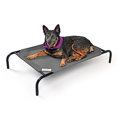 Coolaroo The Original Cooling Elevated Dog Bed, Indoor And Outdoor, Medium, Gunmetal #TOP2