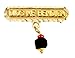 Azabache Pin with Small Faux Coral. Dios Me Bendiga. Gold filled 7/8" long