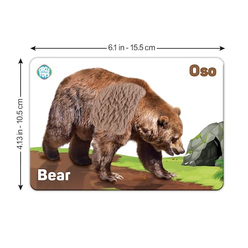 My Touch and Feel English Spanish Bilingual Picture Double Sided Sensory Flash Cards for Infant, Toddlers, Kids, Learn Animals, Fruits, Objects and Vehicles, Fun Learning and Educational Flashcards - Image 6