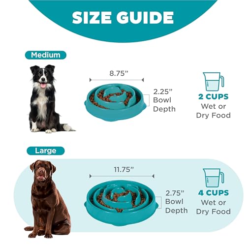 Outward Hound Large Slow Feeder Bowl, Puzzle Maze for Fast Eaters, Medium to Large Dogs, Helps Prevent Bloat & Aid Digestion, Holds 4 Cups Wet or Dry Food, Non-Slip, Made Without BPA, Turquoise - Image 6