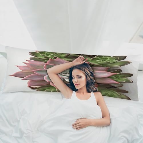 Housse de coussin long motif plante succulente pour lit et canapé