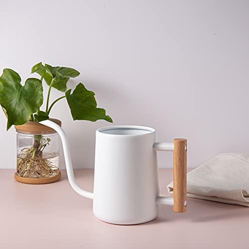 Imeea Small Watering Can For Indoor Plants 35Oz House Plants Watering Can Stainless Steel Watering Can With Long Spout And Comfortable Wooden Handle (White) #TOP5