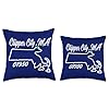 Clipper City MA 01950 Massachusetts Hometown Joke Souvenir Throw Pillow #2