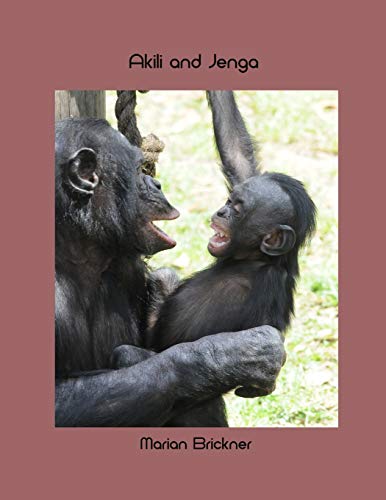 Akili and Jenga 1795150300 Book Cover