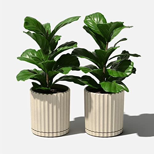Image of Veradek Demi Series Demi 6 inch Planter w /Tray - Sand, 2 Pack