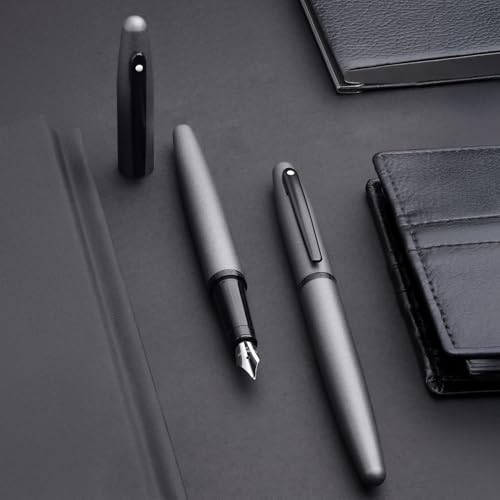 Stylo plume Sheaffer VFM gris mat pour le bureau et les notes