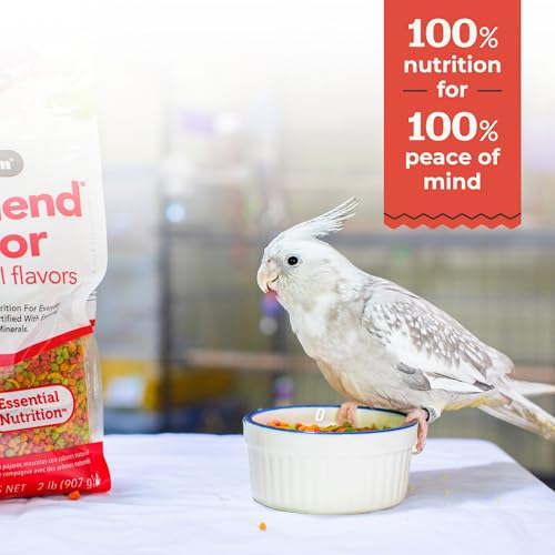 ZuPreem FruitBlend Bird Pellets, Daily Bird Food for Cockatiel, Lovebird, Quaker, Small Conure, Lorikeet, Core Nutrition for Medium Birds, Cockatiel Food, Conure Bird Food (M, 17.5 lb) - Thumbnail 7