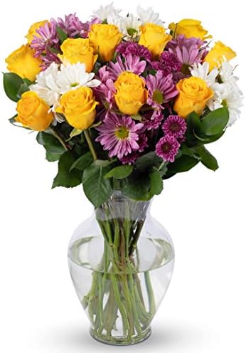 Benchmark Bouquets - Life is Good Yellow Roses Mixed Floral Arrangement - Fresh Flowers for Delivery - Mothers Day Flowers for Mom - Gifts for Mom - Mother's Day Bouquet (Glass Vase Included)