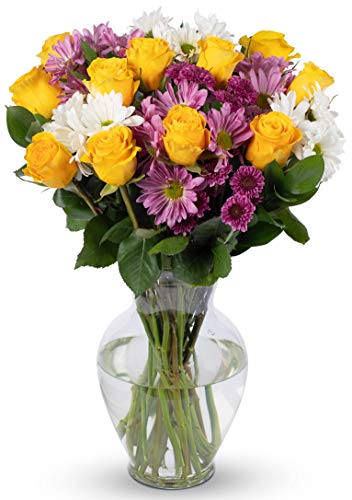 Benchmark Bouquets - Life is Good Yellow Roses Mixed Floral Arrangement - Fresh Flowers for Delivery - Mothers Day Flowers for Mom - Gifts for Mom - Mother's Day Bouquet (Glass Vase Included)