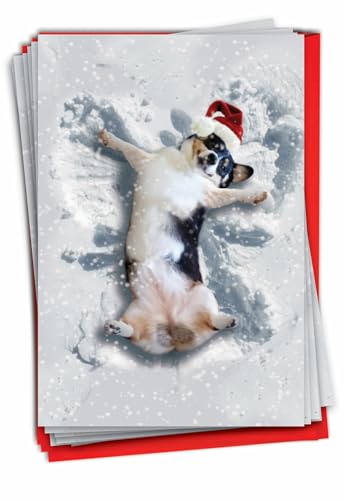 Cartes de vœux pour Noël et fêtes d'hiver avec enveloppes les critters