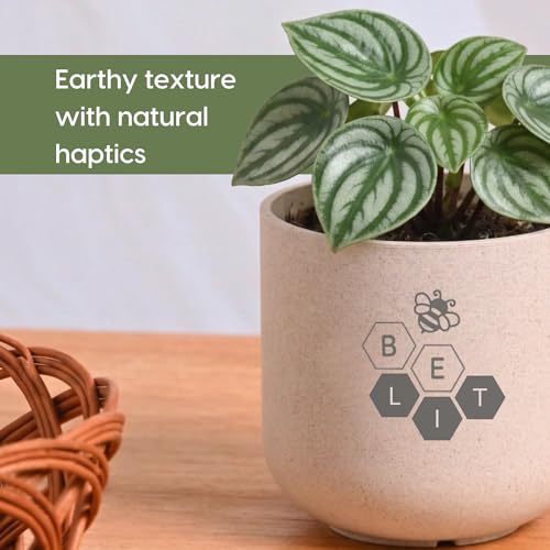 Image of Eha Earth-Friendly Printed Small Terrapod Planters for Home Decor | 3.5 Inch, Pack of 3 | Plant Gifts Made with Rice Husk Biocomposite | Flower Pot for Living Room| Sand Castle