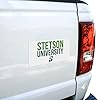 Stetson University Secondary Logo Automotive Car Window Locker Bumper Sticker #3