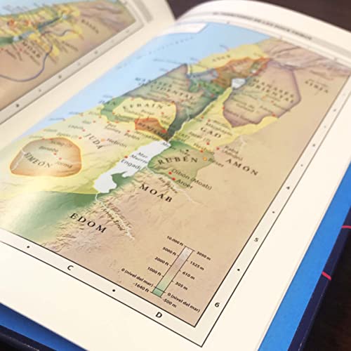 Image of NVI, Biblia para Ninos, Revision 2022, Tapa dura, Comfort Print (Spanish Edition)