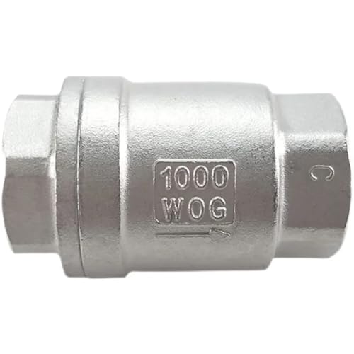 Válvula de retención DN20 BSPT vertical en acero inoxidable SS304 con resorte de elevación 2