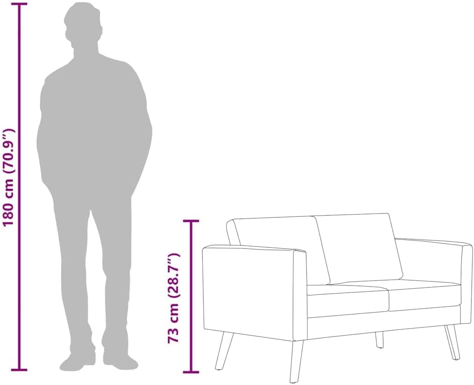 Diagram showing a human figure (180 cm tall) next to the vidaXL 2-Seater Sofa (73 cm tall) for scale.