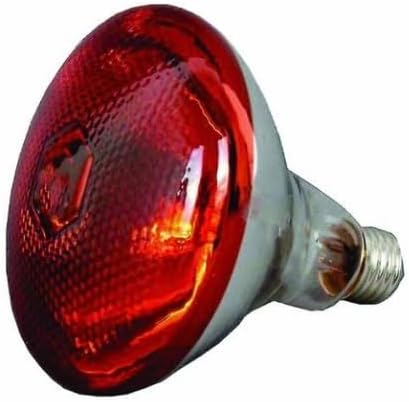 Infrared Heat Lamp 250w