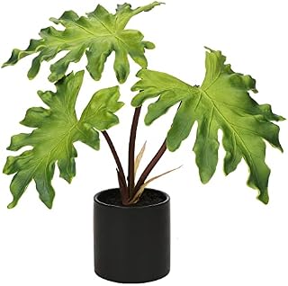Małe sztuczne rośliny, sztuczna roślina w czarnych doniczkach ceramicznych, sztuczny filodendron, seloum, roślina, dekoracyjna tropikalna roślina doniczkowa, do wewnątrz, domu, biura, łazienki, sypialni, na biurko,