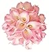 Meide Group USA 14" Real Touch Latex Calla Lily Bunch Artificial Spring Flowers for Home Decor, Wedding Bouquets, and centerpieces (18 PCS) (Blush Pink & Cream)