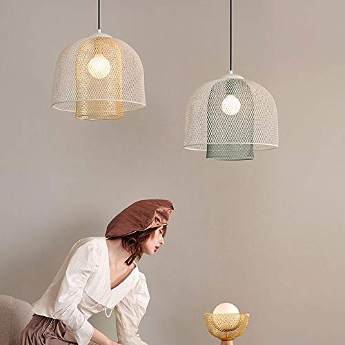 Suspension cage d'oiseau verte E27 pour remplacer un plafonnier terne