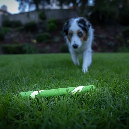 Chuckit! - Max Glow Ultra Fetch - Phosphoreszierender Stock für Hunde - Robuster und langlebiger Stock für Hunde - Leuchtet im Dunkeln - Einheitsgröße - Durchmesser 28 x 3 x 2.5 cm