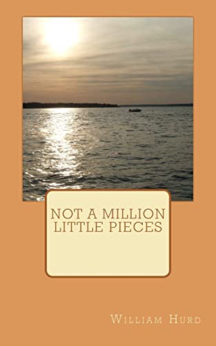 Not a million little pieces