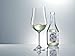 Schott Zwiesel Tritan Crystal Glass Stemware Nosing/Whiskey Cocktail Glass, 7.4-Ounce, Set of 6