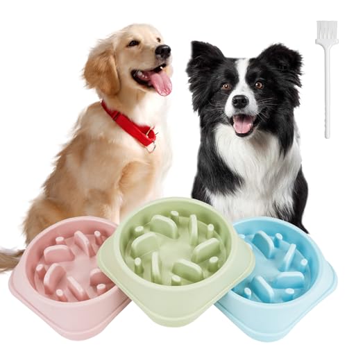 QUMENEY 3 Stück Slow Feeder Hundenapf rutschfest Interaktiver Anti-Schluck-Hundefutternapf Gesundes langsames Fressen Hundenapf für kleine mittelgroße Hunde und Katzen (Blau、Pink 、Grün)