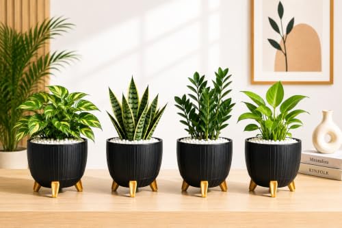 Image of Xmart India 7 Inch Decorative Plant Pot for Indoor & Outdoor Plants | Planter Pot with Stand & Legs |Ribbed Flower Pot for Home, Balcony, Garden, Living Room & Office | Plant Container (4, Black)