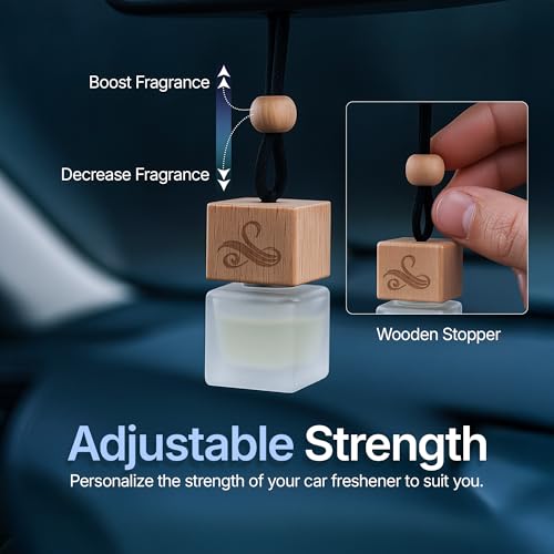Image of Solvere Diffuser with Vent Clip | Strong Automotive Freshener Long Lasting | Powerful Car Fresheners for Men with Odor Eliminating Technology | Luxury Air Freshener by Perfa
