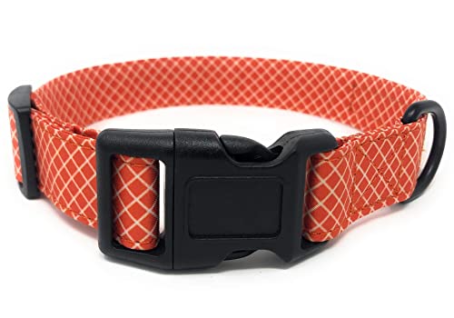 Regal Dog Products Cool Designer Collar | Adjustable Dog Collar with Custom fit for XS, Small, Medium, Large Dog, Cat, & Puppy | Fun Dog Gift Idea | Multiple Colors | Small (8 inches to 12 inches)