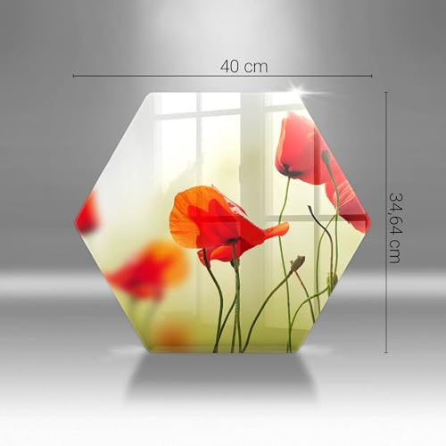 Plaque protection induction évite rayures table cuisson hexagone 40cm - 7