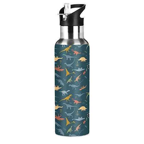 ALAZA Stainless Steel Water Bottle with Straw, Dinosaur Pattern Insulated Drink Flask Sports Water Bottle for Kids Adults, Leakproof, 600ml